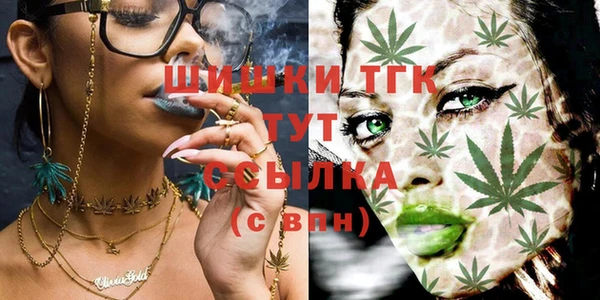 соль курить ск Алзамай