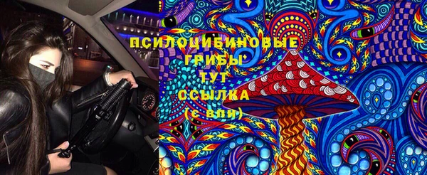 соль курить ск Алзамай