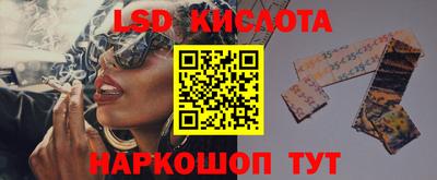 индика Ивантеевка