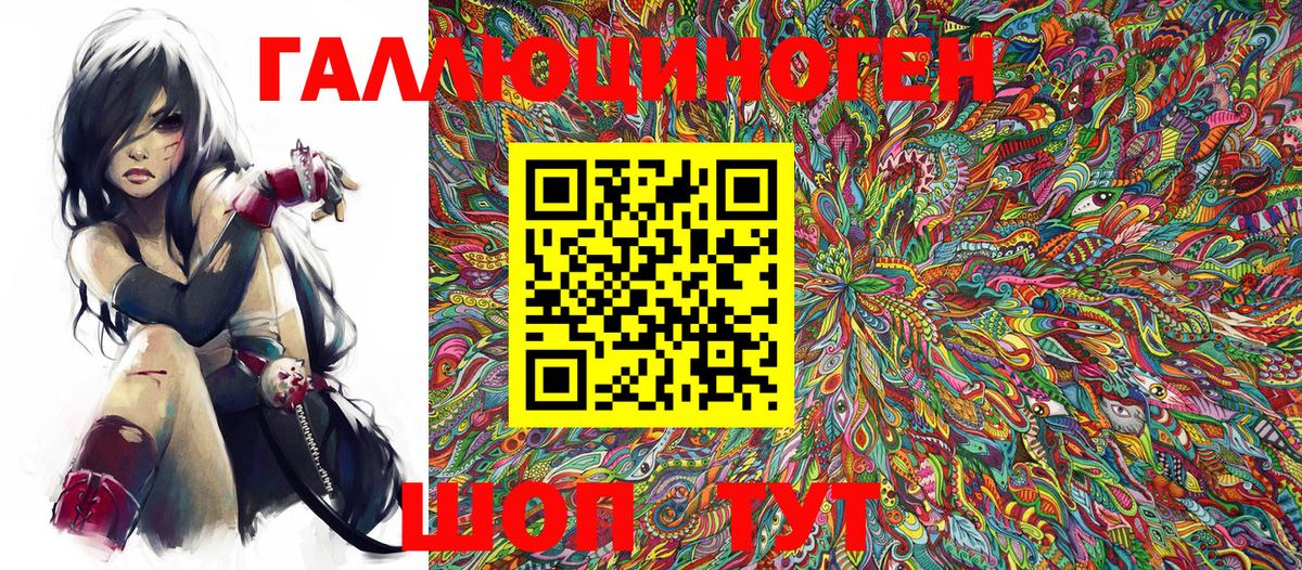 Псилоцибиновые грибы Psilocybe Махачкала